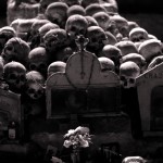 Foto di Gennaro Migliozzi